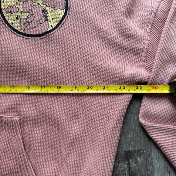 Disney Pink Hooded Sweatshirt with Jasmine Patch - Picture 10 of 14